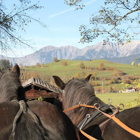 Oberdeutinghof Apartman Saalfelden am Steinernen Meer Kültér fotó