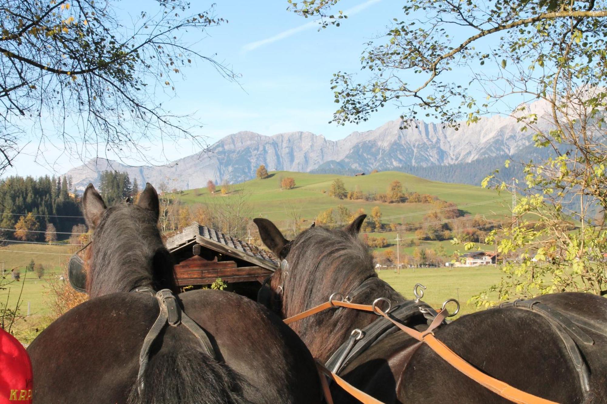 Oberdeutinghof Apartman Saalfelden am Steinernen Meer Kültér fotó